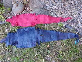 Pelli Esotiche e Pregiati Pelli Esotiche e Pregiati