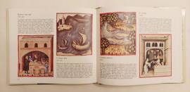 Il libro di casa Cerruti.Erbe, frutta, cibi naturali 1°Ed.Arnoldo Mondadori, settembre 1983