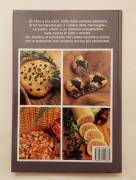 Il grande libro della patata di Silvano Faggioni, Ivonne Nolli e Paolo Ceccoli 1°Ed.Reverdito, 1989