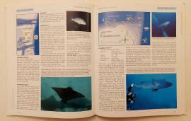Dive Maldives. A guide to the Maldives Archipelago by Tim Godfrey Publisher Atoll Editions, 1996