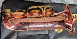 Sax Soprano CURVO YANAGISAWA SC 992 Style Fusto in RAME Nuovo (Garanzia) Sax Soprano CURVO YANAGISAWA SC 992 Style Fusto in RAME Nuovo (Garanzia)