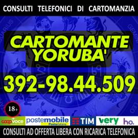 Chi ti offre un consulto di Cartomanzia con l'offerta libera? Yorubà il cartomante lo fa!!!