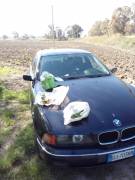 AUTO BMW 523i