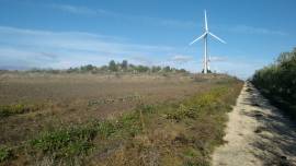 Terreno agricolo Lucera Reggente