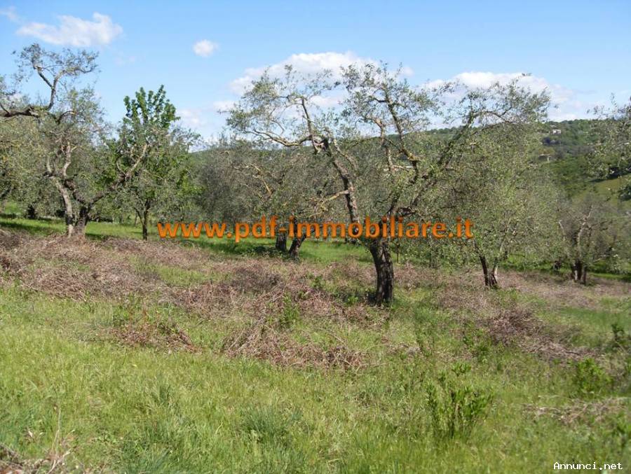 Annunci gratuiti com incontri 65 Annunci gratuiti com incontri 65