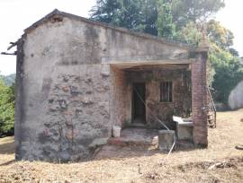 Indipendente immersa nel verde a due passi dal centro cittadino