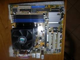 Scheda madre Asus A8NE-FM/S