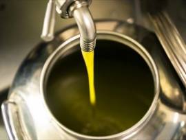Olio Extravergine di oliva BIO della Tuscia (Viterbo) raccolta dicembre 2020