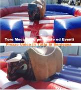 TORO MECCANICO SARDEGNA  A  BASSO COSTO 