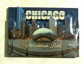 Chicago Millenium Park Magnete da frigorifero adesivo da viaggio Souvenir nuovo