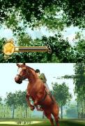 Horse Life - Nintendo DS [Versione Italiana] Ed. Depp Silver, 2007 perfetto