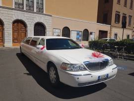 LIMOUSINE   E SPETTACOLI  PERSONALIZZATI  PER  ADDII AL NUBILATO E ADDII AL CELIBATO 