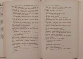 Il romanzo di Zelda di Zelda Fitzgerald 1°Ed.Rizzoli, gennaio 1965 ottimo