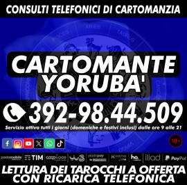 Il Cartomante Yorubà è presente anche su: Facebook, Instagram, Youtube, Tiktok, WhatsApp e X