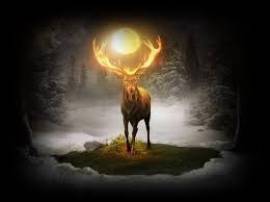 cartomanti esperti per centro in espansione