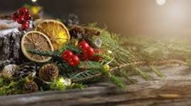 per lavoro da remoto cerco bravi cartomanti, sensitivi e astrologhi per ampliamento staff