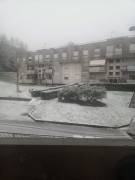 lettura tarocchi, sibille ,napoletane