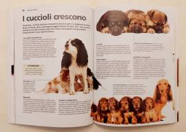 Dog decoder.Come interpretare  il linguaggio segreti dei cani di David Alderton 1°Ed.De Vecchi, 2013