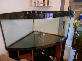 Grande  Acquario - rettilario 