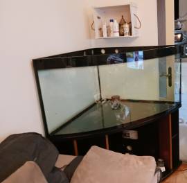 Grande  Acquario - rettilario 