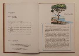 LE REGIONI DITALIA - LA CAMPANIA di Raffaele Di Giacomo Editore: Franco Raiteri Milano, giugno 1967 LE REGIONI DITALIA - LA CAMPANIA di Raffaele Di Giacomo Editore: Franco Raiteri Milano, giugno 1967