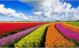 Amicizia segreta cercasi