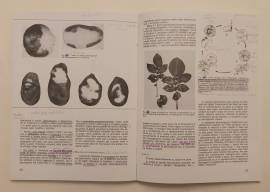 Patologia vegetale di Gilberto Govi Edizioni Agricole, ottobre 1991