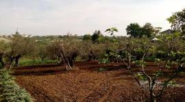 Pianella (PE) fraz. Cerratina terreno edificabile in vendita.