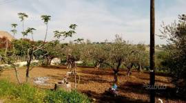 Pianella (PE) fraz. Cerratina terreno edificabile in vendita.