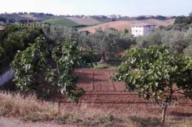 Pianella (PE) fraz. Cerratina terreno edificabile in vendita.
