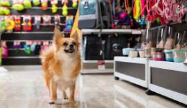 NEGOZIO  ACCESSORI ANIMALI  E TOLETTATURA   AVVIATISSIMO CENTRO MILANO ZONA  COLONNE SAN LORENZO CED