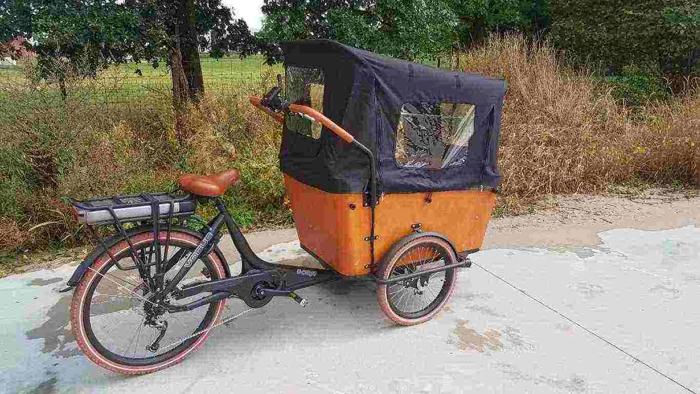 Vogue E cargo bicicletta con bella scatola di legno
