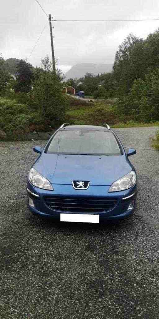   Bellissima  Peugeot 407sw