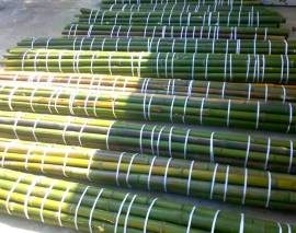  Vendo  canne di bambù bambu con diametro da 1 cm. fino a 10 cm. 