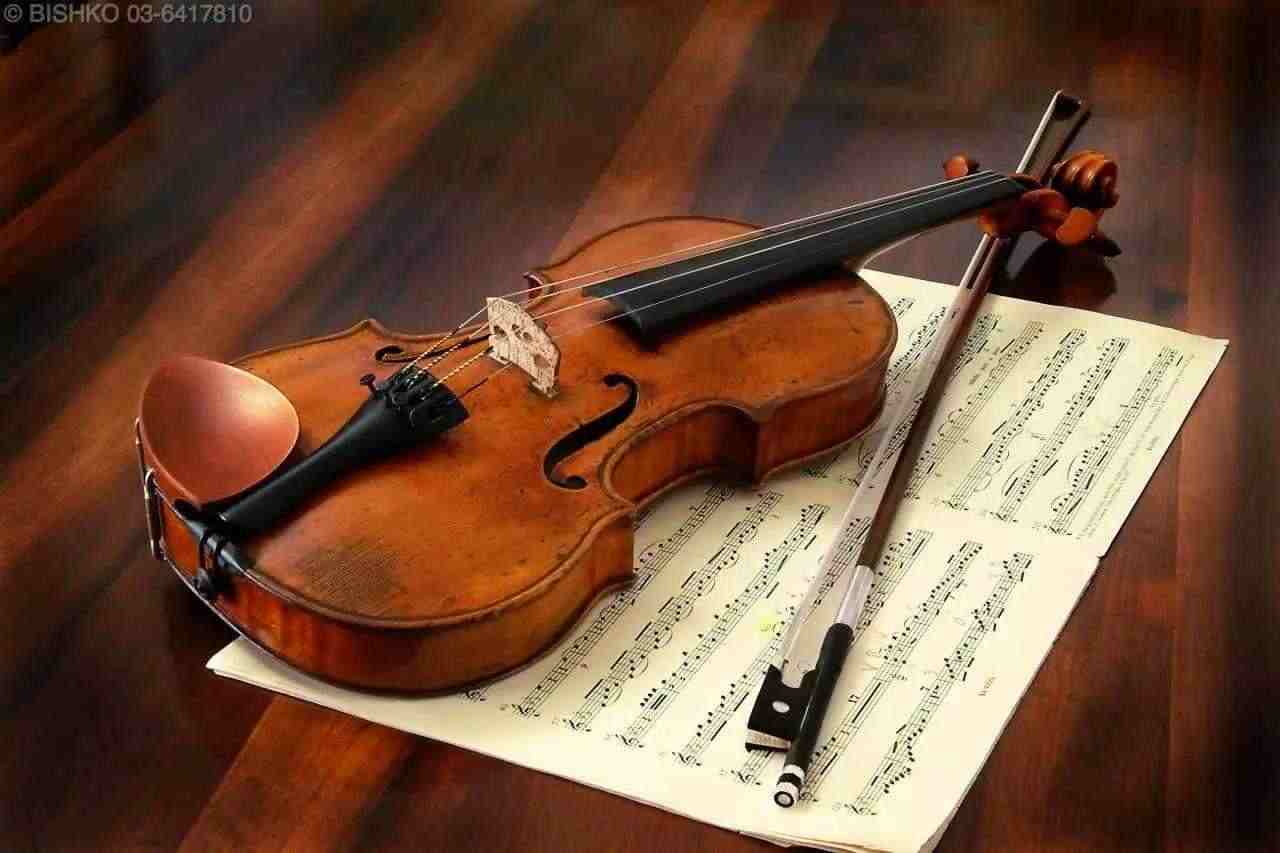 Lezioni VIOLINO per tutti