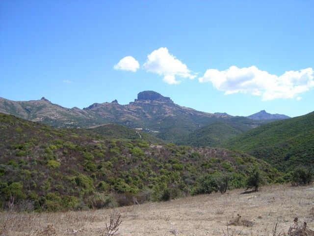 Terreno agricolo in Sardegna