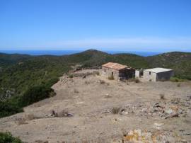 Terreno agricolo in Sardegna