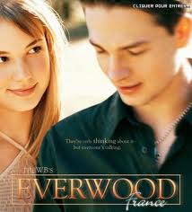 Everwood stagioni da 1 a 4 (IN OFFERTA)
