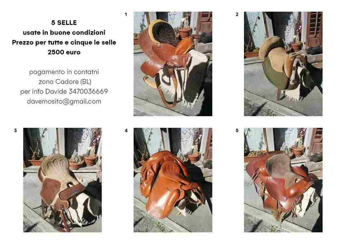 Stock di 5 selle da cavallo 