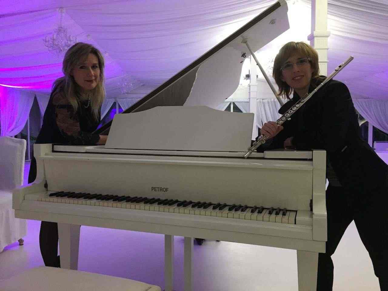 Pianista Violinista Flautista Cantante Chitarrista