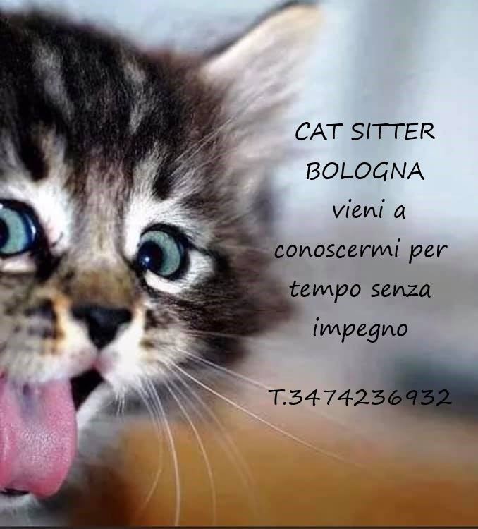Cat sitter Bologna (la pensione in casa)