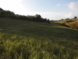 Rustico indipendente con vista panoramica e terreno 