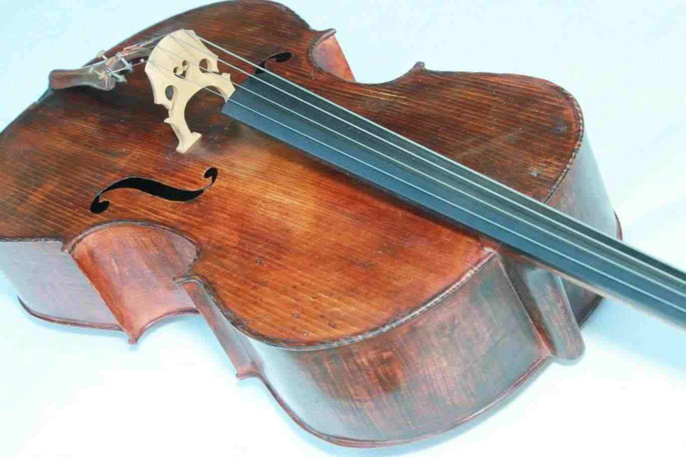 Violoncello French Charles Brugere 1896