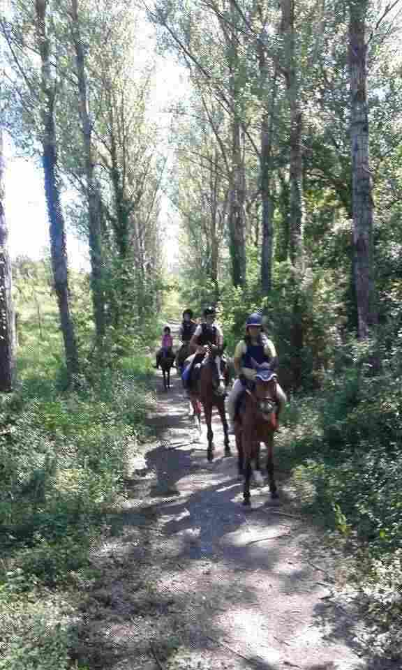 Lezioni equitazione, passeggiate e pensione cavalli