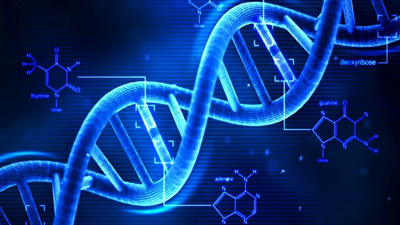 Ripetizioni di materie scientifiche