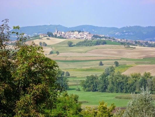 USO TRANSITORIO BREVI PERIODI IN TONCO (AT)