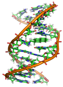 Lezioni private di chimica, biochimica e biologia