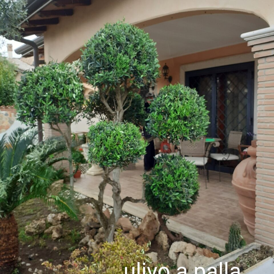 Giardiniere esperto nella cura del vostro giardino