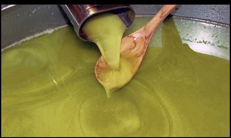 Olio extravergine di oliva produzione 2020 cultivar corato an