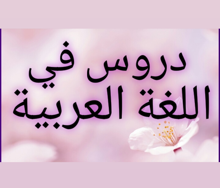 Lezioni di arabo ARABO con insegnante madrelingua araba ARABA